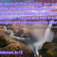 HS134