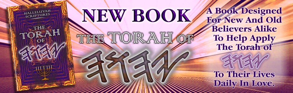 TorahBanner