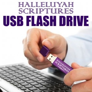 001 usb flash