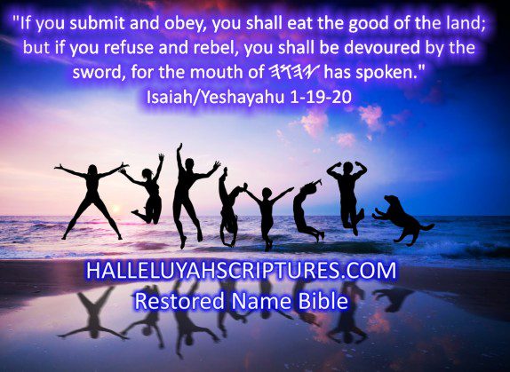 HalleluYah Scriptures Restored Name Bible 13