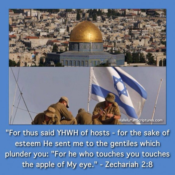 HalleluYah Scriptures Bibles for Israel 3