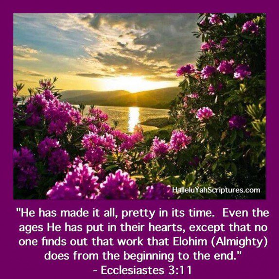 HalleluYah Scriptures Parallel + Hebrew Bible + Sacared Bible