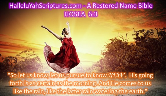 HalleluYah Scriptures Parallel + Hebrew Bible + Sacared Bible + Restored Name Bible + The Best Bible & Devine Name Bible + The Scriptures & Cepher Yahweh   + Yahwah 562