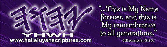 Bumper sticker 1 reduced