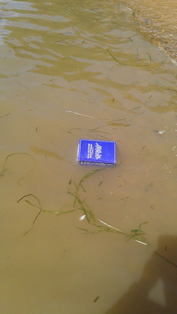 HalleluYah Scriptures Waterproof 2