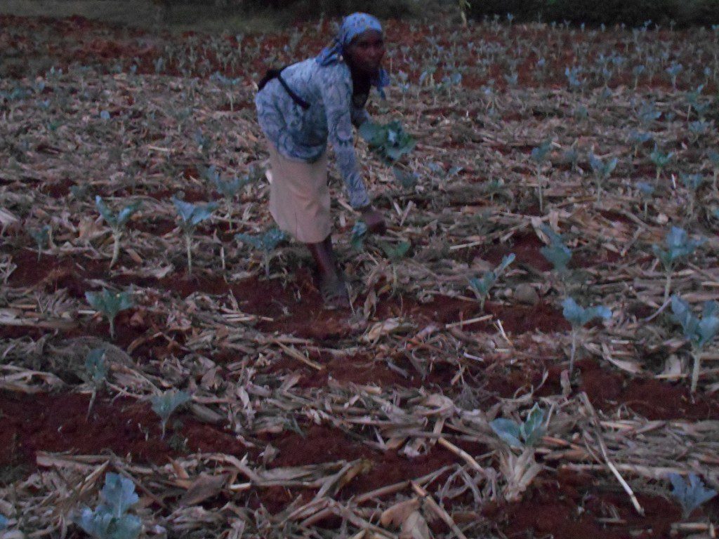Kenya April 2015 3