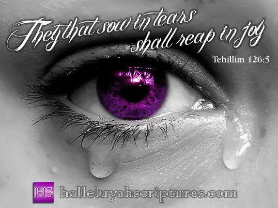 HalleluYah Scriptures 1