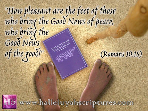 HalleluYah Scriptures 11