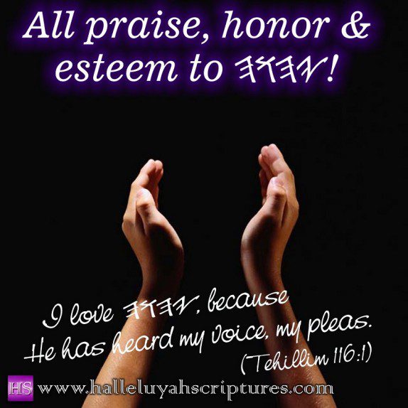 HalleluYah Scriptures 5