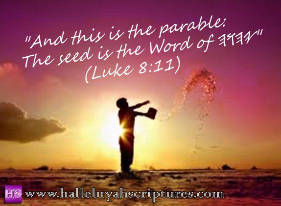 HalleluYah Scriptures 7