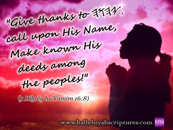 HalleluYah Scriptures 8