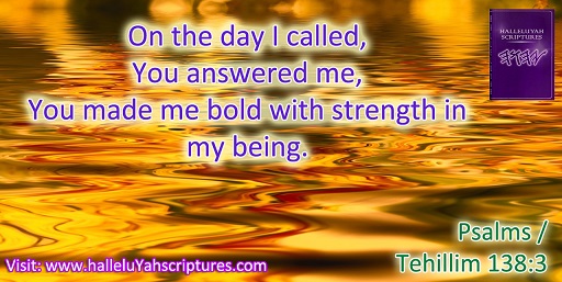 HalleluYah-Scriptures-Review-Parallel-Hebrew-Bible-Sacared-Bible-Restored-Name-Bible-The-Best-Bible-The-Scriptures-Cepher-Yahweh-Yahwah-waterproof-bible-prisoners outside 4